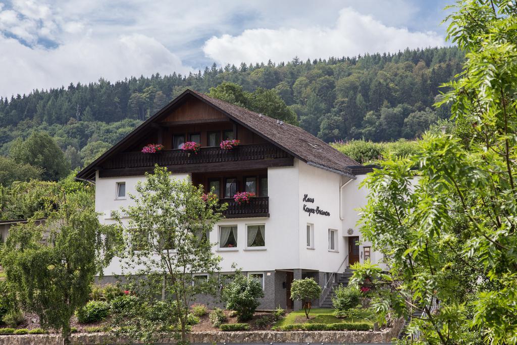 Haus Kesper-Bruenen Willingen (Upland) Exterior foto