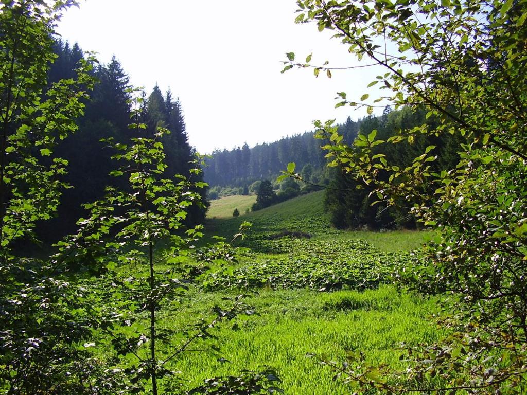 Haus Kesper-Bruenen Willingen (Upland) Exterior foto